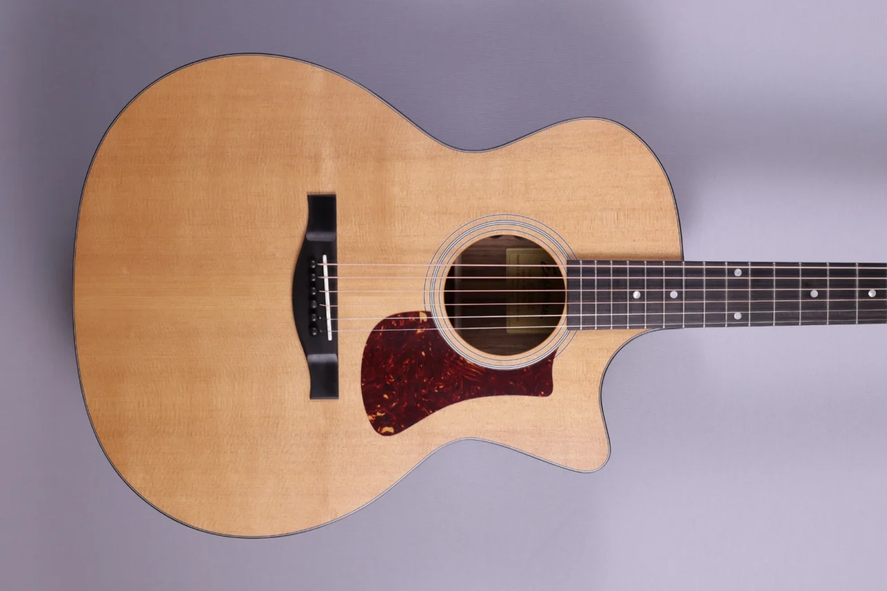 Eastman AC 222 CE – Bild 3