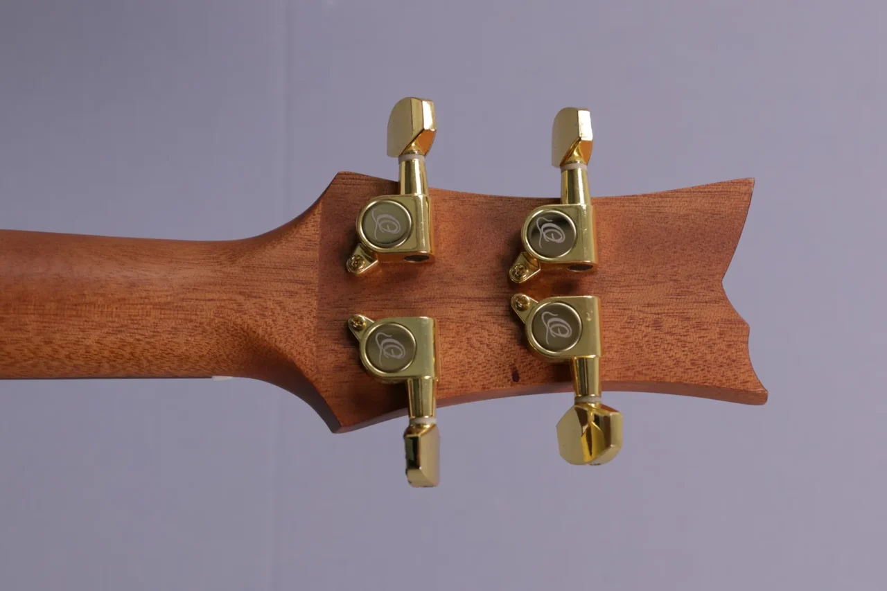 Ortega LIZARD-TE-GB Tenor Ukulele – Bild 6
