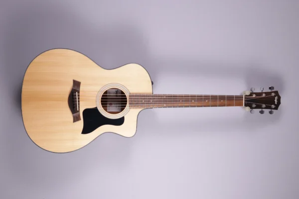Taylor-114ce