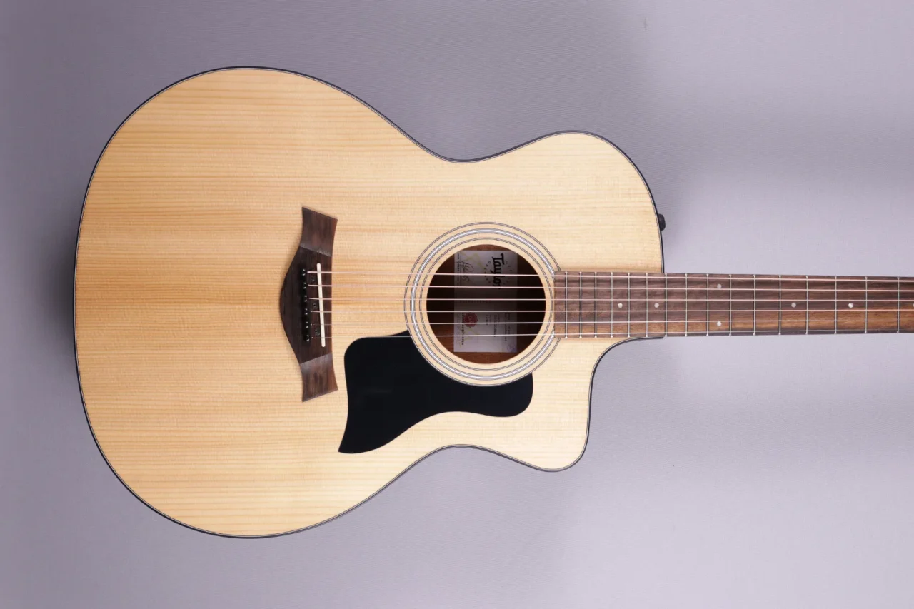 Taylor-114ce – Bild 3