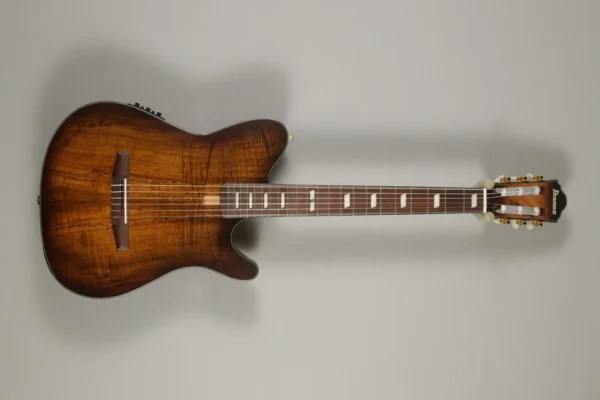 Ibanez FRH 6-Str Tabacco Burst Low Gloss