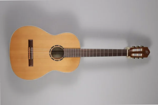 Ortega R121SN