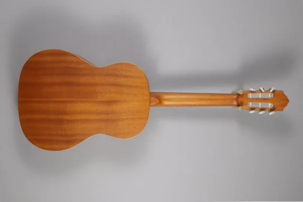 Alternative view of Ortega R121SN