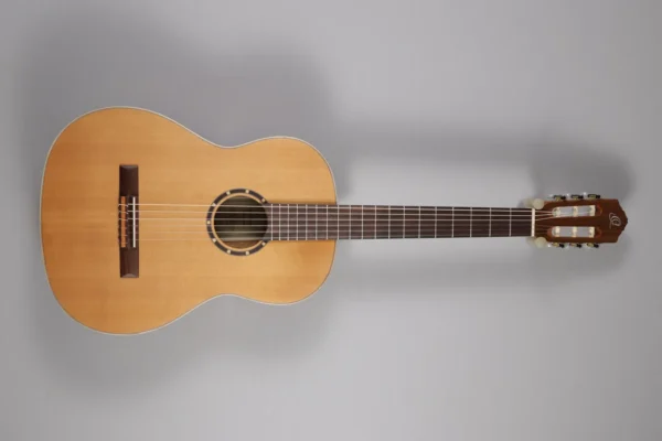 Ortega RS122N