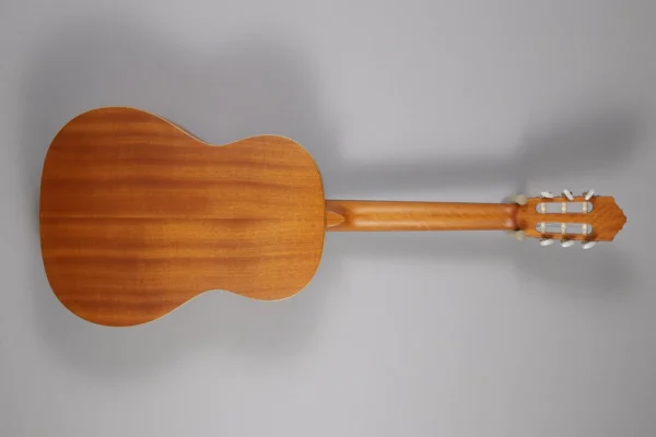 Alternative view of Ortega RS122N