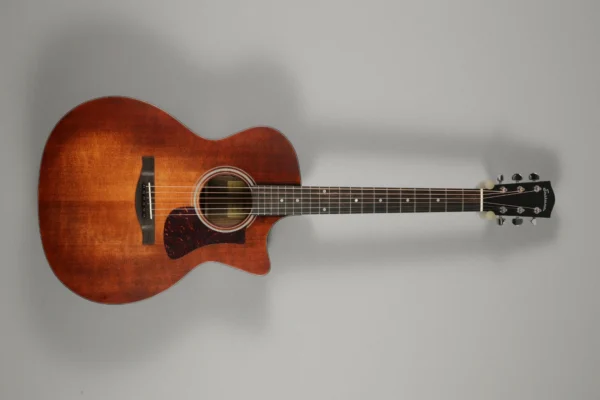 Eastman AC222-CE CLA