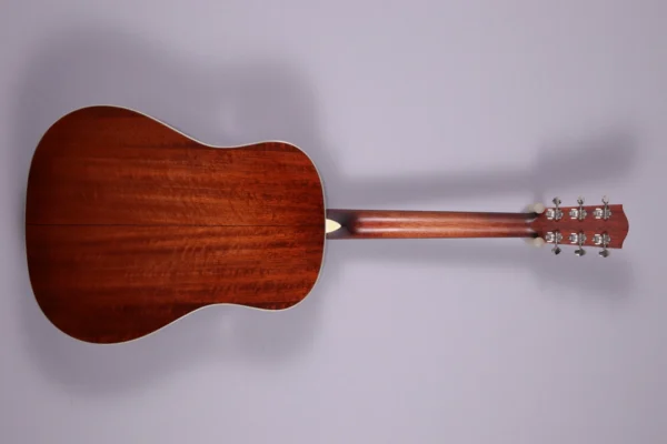 Alternative view of E6SS-TC-SB