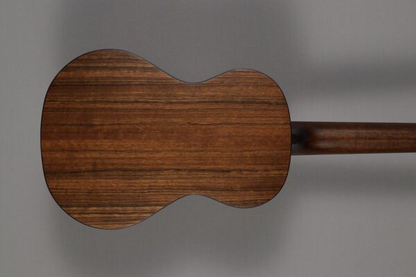 Eastman EU-2T Natural