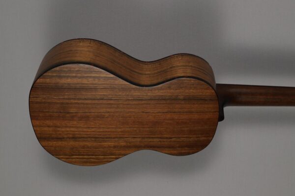 Eastman EU-2T Natural