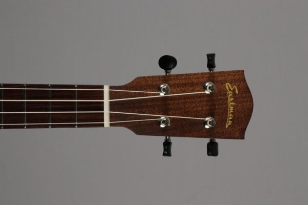 Eastman EU-2T Natural