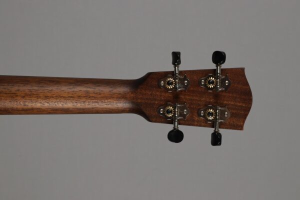 Eastman EU-2T Natural