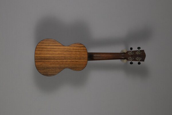 Eastman EU-2C Natural