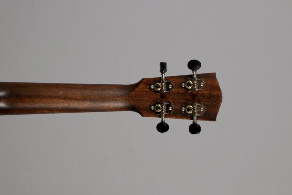 Eastman EU-2C Natural