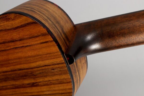 Eastman EU-2C Natural