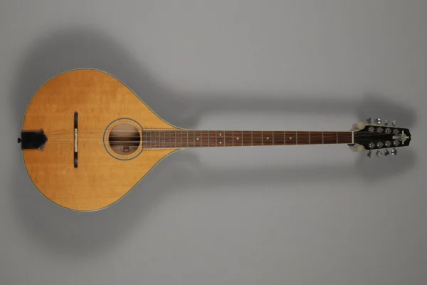 Irish Bouzouki Trinity College