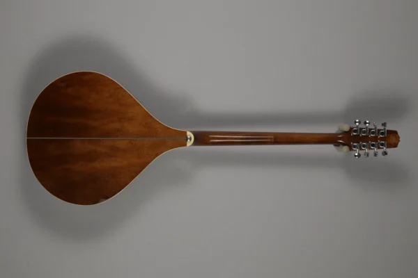 Alternative view of Irish Bouzouki Trinity College