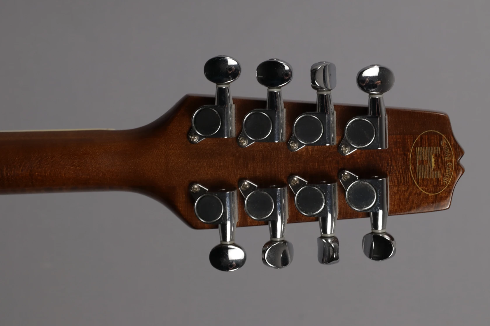 Irish Bouzouki Trinity College – Bild 6