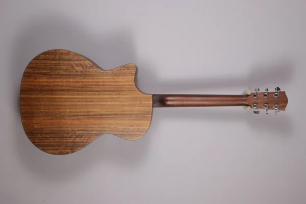 Alternative view of Eastman AC 222 CE-CLA