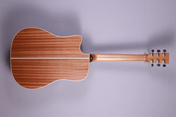 Alternative view of Lakewood D-14 CP