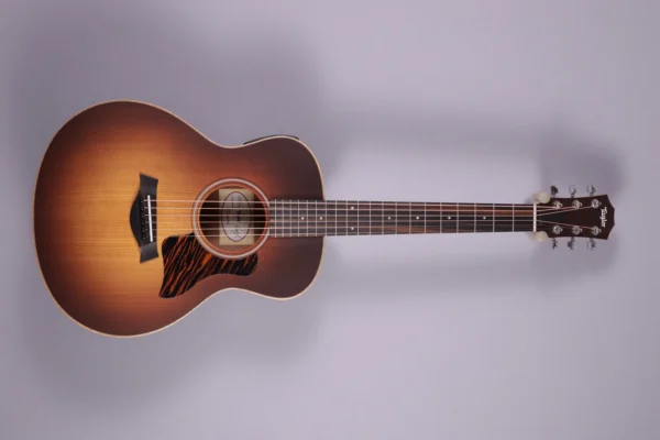 Taylor GS Mini-e Rosewood SB