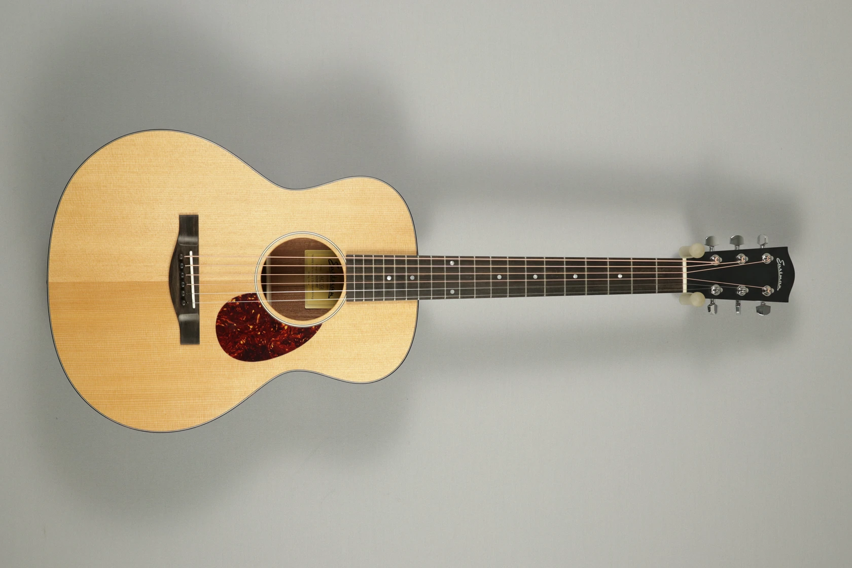 Eastman ACTG1