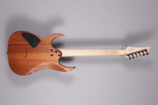 Alternative view of Ibanez RG421, Mahogany Oil