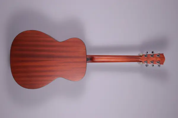 Alternative view of Eastman PCH1-OM